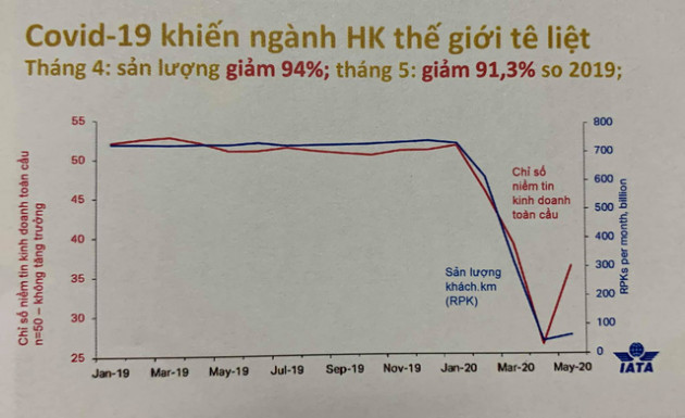 Tổng giám đốc Vietnam Airlines: Chỉ có một câu ngắn gọn là tê liệt, đóng băng - Ảnh 1.