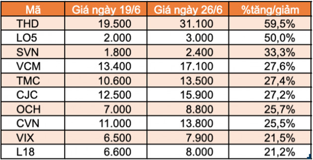 Top 10 cổ phiếu tăng/giảm mạnh nhất tuần: Thaiholdings liên tục tăng trần kể từ khi niêm yết - Ảnh 5.