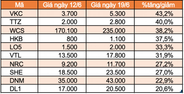 Top 10 cổ phiếu tăng/giảm mạnh nhất tuần: TNI trọn tuần giảm sàn - Ảnh 2.