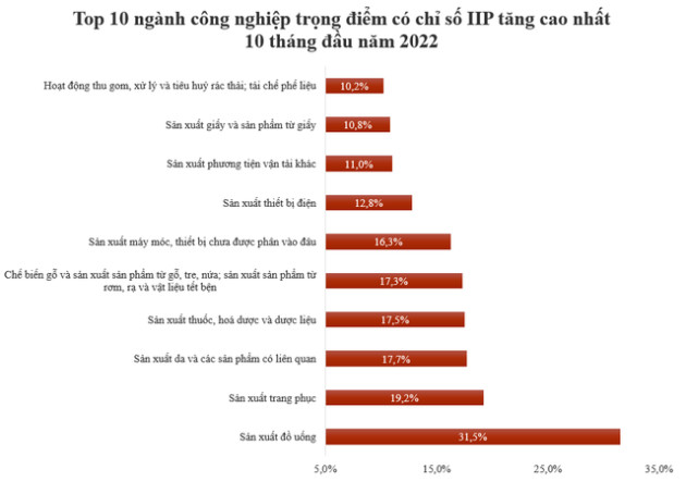 Top 10 ngành công nghiệp trọng điểm có chỉ số sản xuất công nghiệp tăng cao nhất 10 tháng đầu năm 2022 - Ảnh 1.