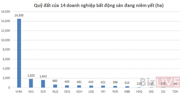 Top 5 doanh nghiệp bất động sản sở hữu quỹ đất ở lớn nhất, họ là ai? - Ảnh 1.