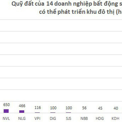 Top 5 doanh nghiệp bất động sản sở hữu quỹ đất ở lớn nhất, họ là ai?