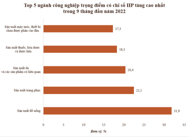 Top 5 ngành công nghiệp trọng điểm có chỉ số sản xuất công nghiệp tăng cao nhất 9 tháng đầu năm 2022 - Ảnh 1.