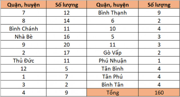 TP HCM công bố 160 dự án nhà ở thực hiện thủ tục chấp thuận đầu tư - Ảnh 1.