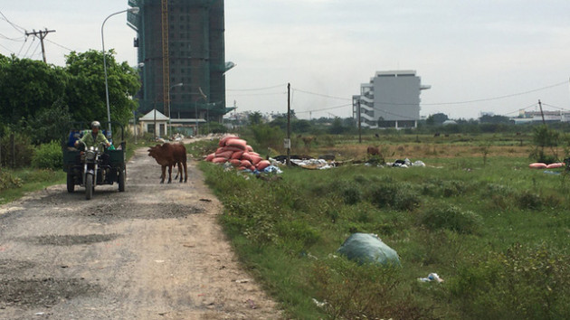 TP HCM: Giá đất Bình Chánh tăng chóng mặt vì thông tin huyện lên quận