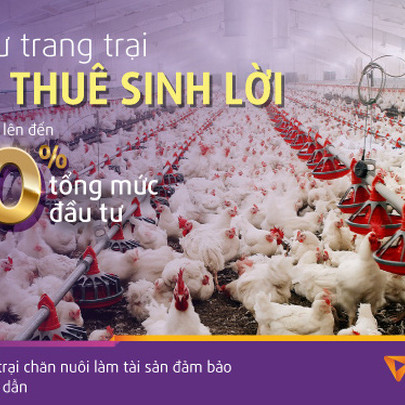 TPBank dành 1.000 tỷ đồng tài trợ xây dựng trang trại chăn nuôi để cho thuê