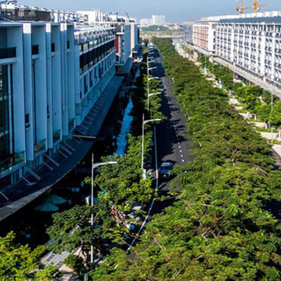 Tp.HCM hạn chế phát triển nhà thấp tầng 10 năm tới, doanh nghiệp địa ốc nói gì?
