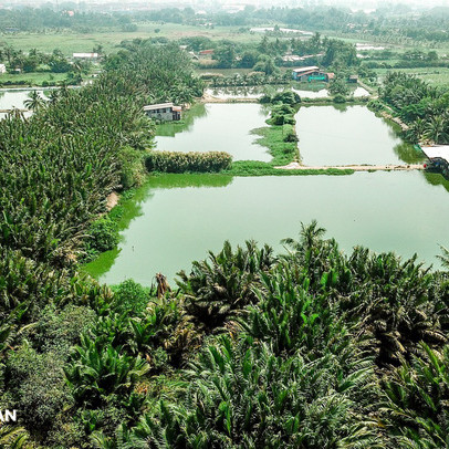 TP.HCM: Phê duyệt hệ số điều chỉnh giá đất trong dự án sửa chữa, nâng cấp Tỉnh lộ 9, huyện Hóc Môn