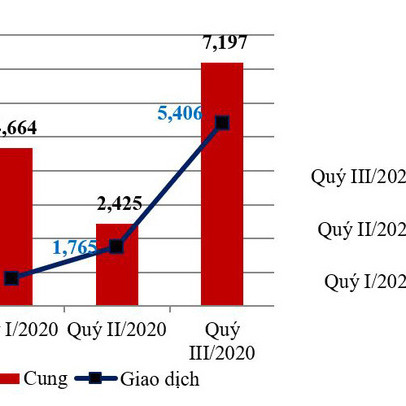 TP.HCM: Phía sau con số giao dịch tăng mạnh giữa mùa COVID-19