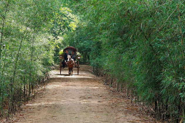 TP.HCM tổ chức diễn đàn du lịch với chủ đề thông minh - Ảnh 1.