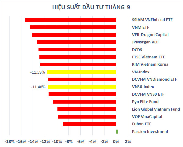 Trái ngược với nỗi thất vọng của các quỹ đầu tư lớn, Passion Investment của ông Lã Giang Trung vẫn sống khỏe nhờ “ôm” tiền - Ảnh 1.