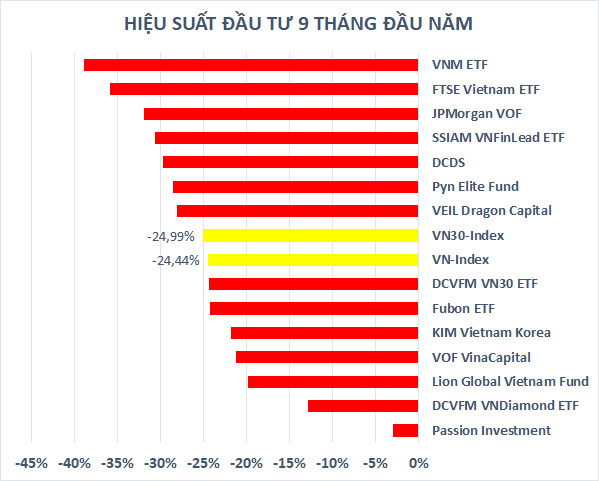 Trái ngược với nỗi thất vọng của các quỹ đầu tư lớn, Passion Investment của ông Lã Giang Trung vẫn sống khỏe nhờ “ôm” tiền - Ảnh 2.