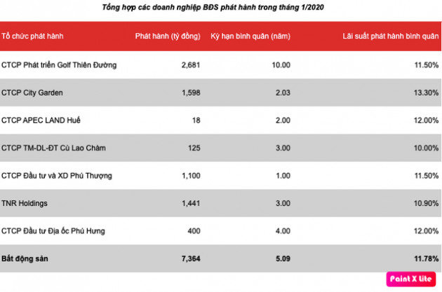 Trái phiếu doanh nghiệp bất động sản tiếp tục nở rộ ngay tháng đầu năm 2020 - Ảnh 1.