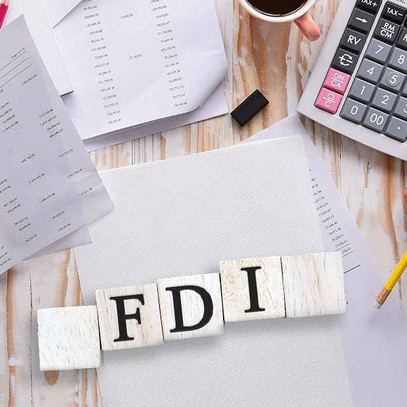 Trăm tỷ FDI đổ vào Việt Nam: Nhiều tác động tiêu cực về môi trường, cạnh tranh… không được đề cập