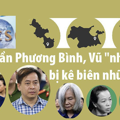 Trần Phương Bình, Vũ 'nhôm'... bị kê biên những gì?