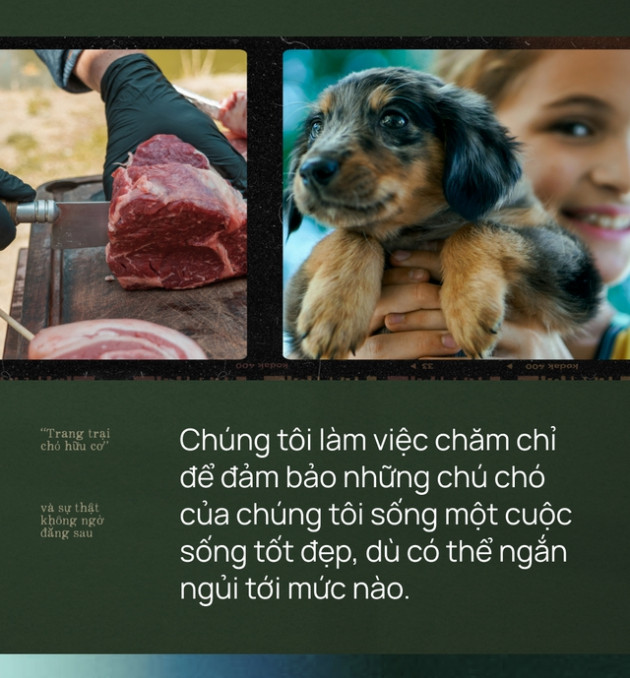 “Trang trại thịt chó hữu cơ Elwood” - mô hình kinh doanh ngang nhiên thách thức cộng đồng người yêu chó, bất ngờ lại thành công vang dội - Ảnh 3.