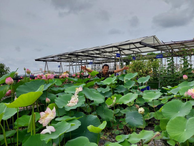 Trào lưu second-home trên nóc sân thượng vạn người mê thời hạn chế đi chợ - Ảnh 2.