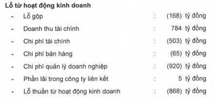 Buột phải trích lập dự phòng kinh doanh trước biến cố Covid-19, HAGL báo lỗ ròng kỷ lục 1.173 tỷ trong quý 4/2020 - Ảnh 1.