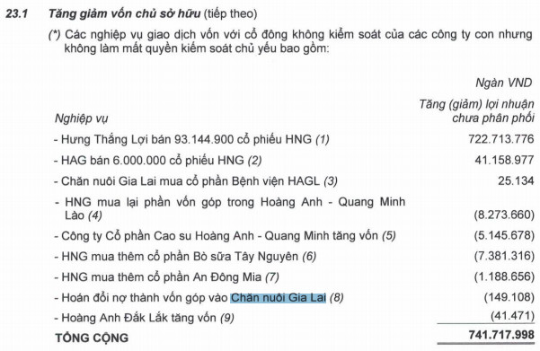 Buột phải trích lập dự phòng kinh doanh trước biến cố Covid-19, HAGL báo lỗ ròng kỷ lục 1.173 tỷ trong quý 4/2020 - Ảnh 2.