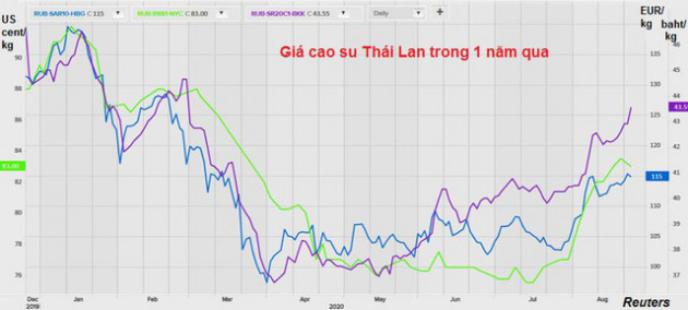 Triển vọng ảm đạm của ngành cao su Thái Lan - Ảnh 1.