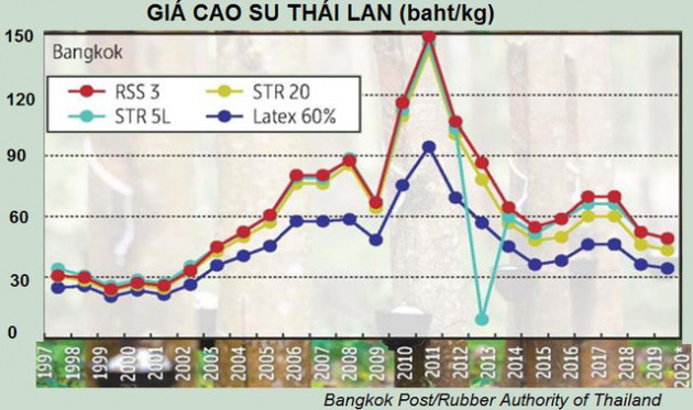 Triển vọng ảm đạm của ngành cao su Thái Lan - Ảnh 2.