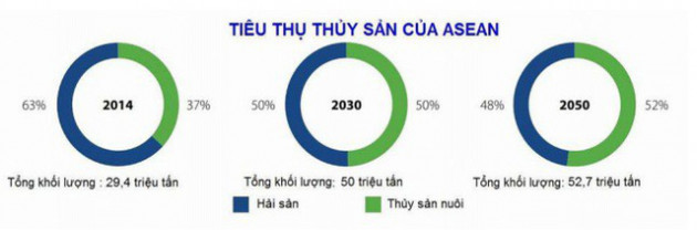 Xuất khẩu thủy sản sang ASEAN có thể đạt 1 tỷ USD trong tương lai gần - Ảnh 1.