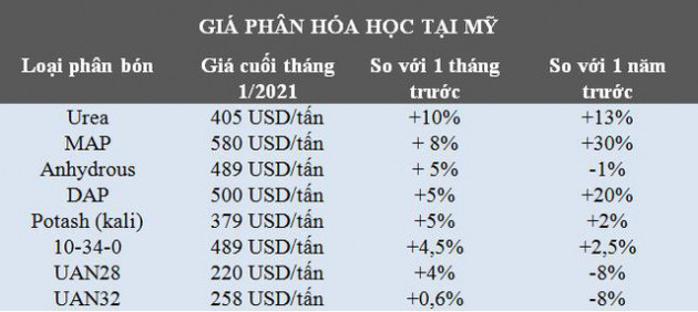 Triển vọng thị trường phân bón thế giới năm 2021 sẽ sôi động cùng nhịp thị trường ngũ cốc - Ảnh 3.