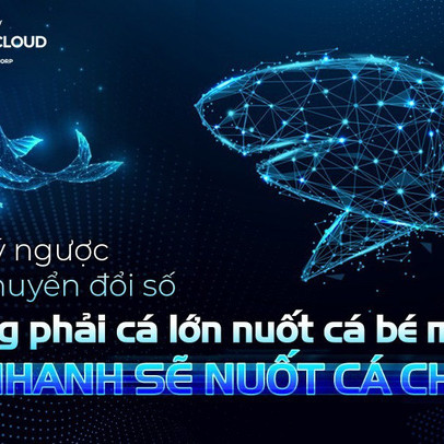 Triết lý ngược của chuyển đổi số: Không phải cá lớn nuốt cá bé mà là cá nhanh sẽ nuốt cá chậm