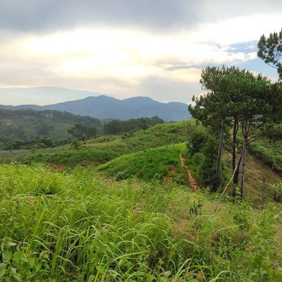 Trốn dịch bỏ phố về rừng sống ở farmstay: Nỗi khiếp sợ ngày nóng mất điện, ngày mưa sợ rắn