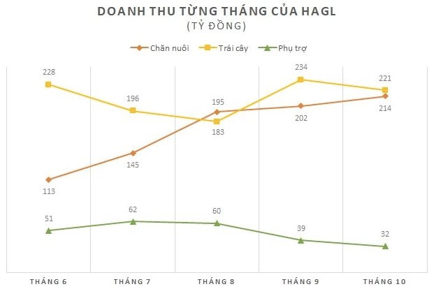 Trồng chuối để xuất khẩu hay để nuôi heo khi 2/3 sản lượng chuối dùng cho heo ăn: Hoàng Anh Gia Lai nói gì? - Ảnh 3.