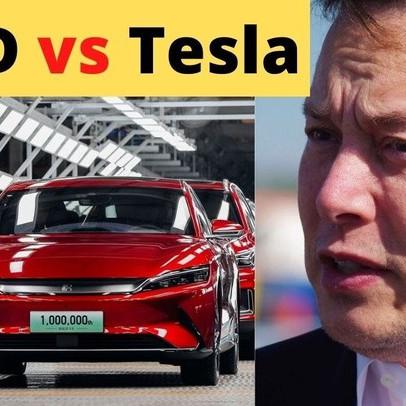 Trong khi Tesla giảm giá, các hãng xe điện Trung Quốc phải mua cả đội tàu vận tải biển để chở ô tô đi bán