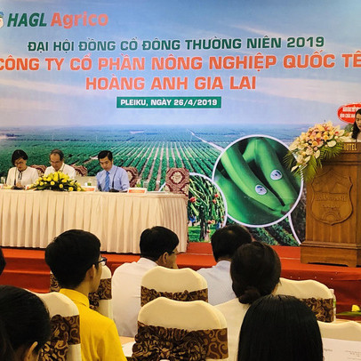 [Trực tiếp] ĐHĐCĐ HAGL Agrico: Bầu Đức khẳng định HAGL đến hiện tại không bị thu hồi đất ở Campuchia