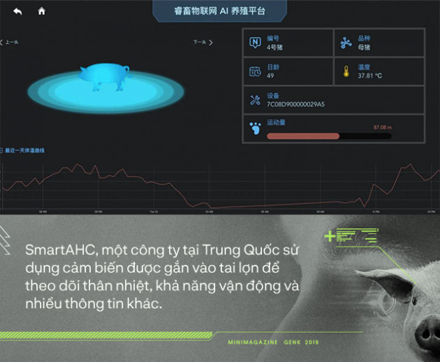 Trung Quốc chống lại dịch tả lợn châu Phi bằng công nghệ nhận diện mặt lợn như thế nào? - Ảnh 4.