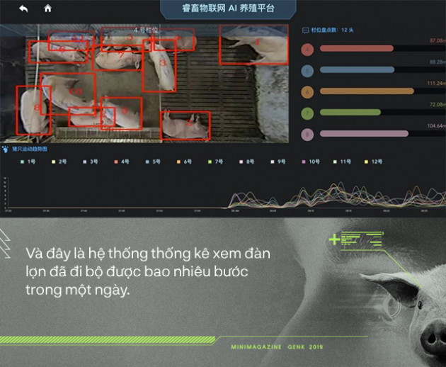 Trung Quốc chống lại dịch tả lợn châu Phi bằng công nghệ nhận diện mặt lợn như thế nào? - Ảnh 5.