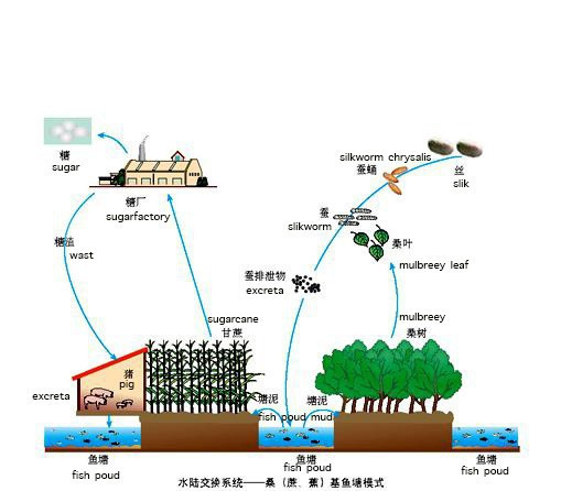 Trung Quốc đang nuôi hơn 1,4 tỷ dân của mình như thế nào? (Phần 1) - Ảnh 9.