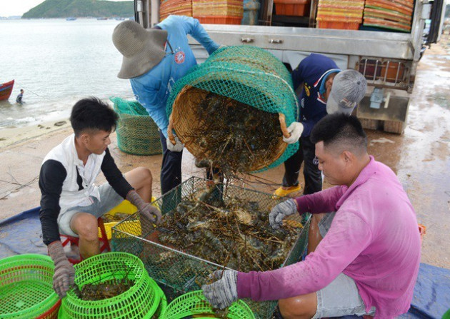 Trung Quốc đóng lối nhỏ, tôm cá rớt giá, dân Việt khóc ròng - Ảnh 1.