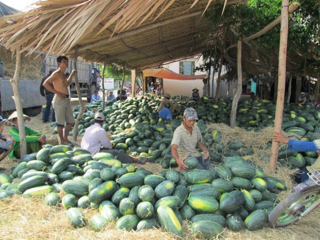 Trung Quốc liên tục thay đổi, hàng Việt ùn tắc trở tay không kịp - Ảnh 2.