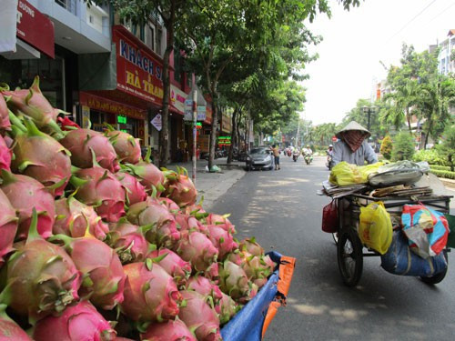 Trung Quốc siết đường tiểu ngạch, lo rau quả bí đầu ra - Ảnh 1.