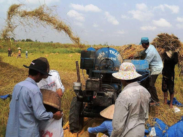 Trung Quốc siết tiêu chuẩn, hàng Việt lao đao - Ảnh 1.