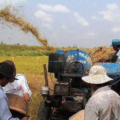 Trung Quốc siết tiêu chuẩn, hàng Việt lao đao