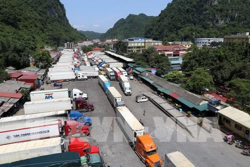 Trung Quốc thay đổi, 500 xe container nông sản tắc cứng ở Tân Thanh