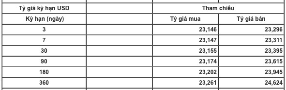 Trước kỳ vọng giảm lãi suất, tỷ giá USD/VND đột ngột tăng mạnh - Ảnh 1.