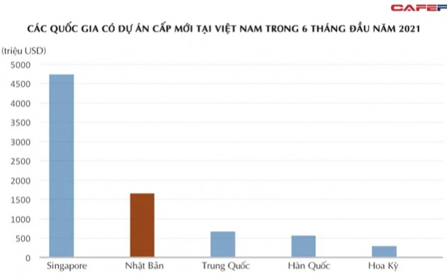 Trưởng đại diện JETRO Hà Nội: 13 DN lớn, 7 DNVVN đều muốn tăng hoạt động nội địa hoá tại Việt Nam - Ảnh 1.