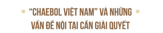 TS. Nguyễn Đình Cung nói gì về hệ quả của việc ưu tiên nguồn lực cho các chaebol Việt Nam? - Ảnh 4.