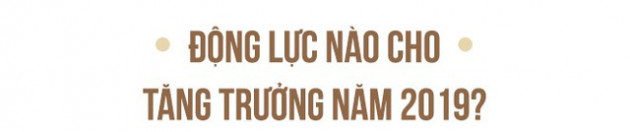 TS. Nguyễn Đình Cung nói gì về hệ quả của việc ưu tiên nguồn lực cho các chaebol Việt Nam? - Ảnh 7.