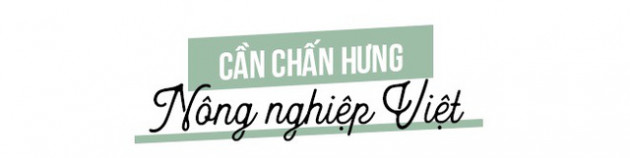 TS. Trần Hoàng Ngân: Phải chi Việt Nam có thêm nhiều người giàu từ sản xuất như ông chủ của ô tô Trường Hải, thép Hoà Phát - Ảnh 5.