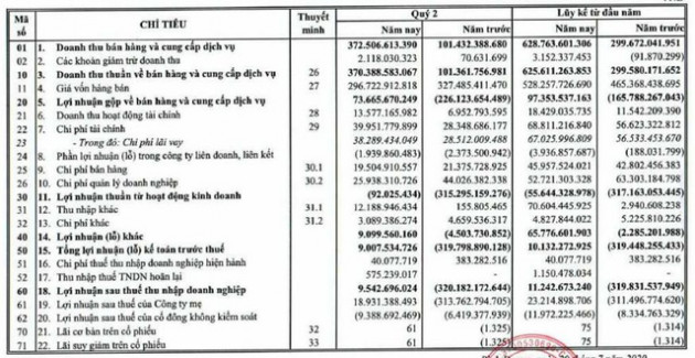 TTF: Quý 2 tiếp tục kinh doanh có lãi 9,5 tỷ đồng - Ảnh 1.