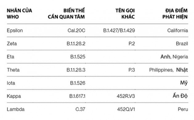 Từ Alpha đến Delta: Các biến thể COVID-19 nguy hiểm ra sao? Vắc-xin có thể ngăn chặn được chúng ở mức độ nào? - Ảnh 7.