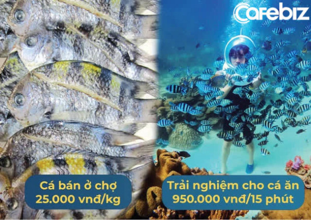 Từ chối deal triệu đô từ Shark Hưng và Shark Bình, CEO Namaste nói thẳng: Chúng tôi đổ nhiều mồ hôi, nước mắt và cả máu, Namaste xứng đáng với mức định giá cao hơn! - Ảnh 1.