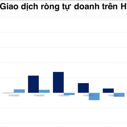 Tự doanh bán ròng sau chuỗi 6 phiên giải ngân trên HOSE